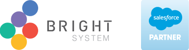 bright_system_logo